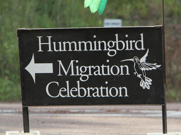 Hummingbird Tickets, FAQ and More