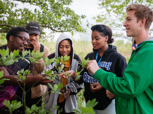Connecting Campus Chapters to Drive Local Conservation
